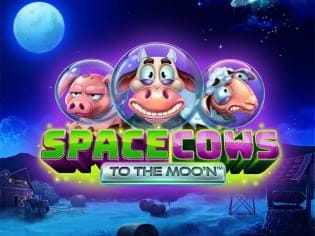 Space Cows to the Moo'n screenshot